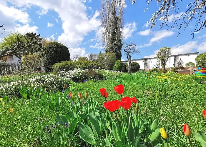 Appartement Bohnapartments Ega Stadtblick - Garten - Wlan - Naehe Theater Ega Und Messe Erfurt